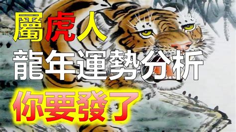 生肖虎幸運色|【屬虎幸運色】2024年屬虎人專屬！掌握幸運色與禁忌色，招財。